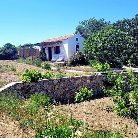 The Pigeon House Villa Potamos  Exterior photo