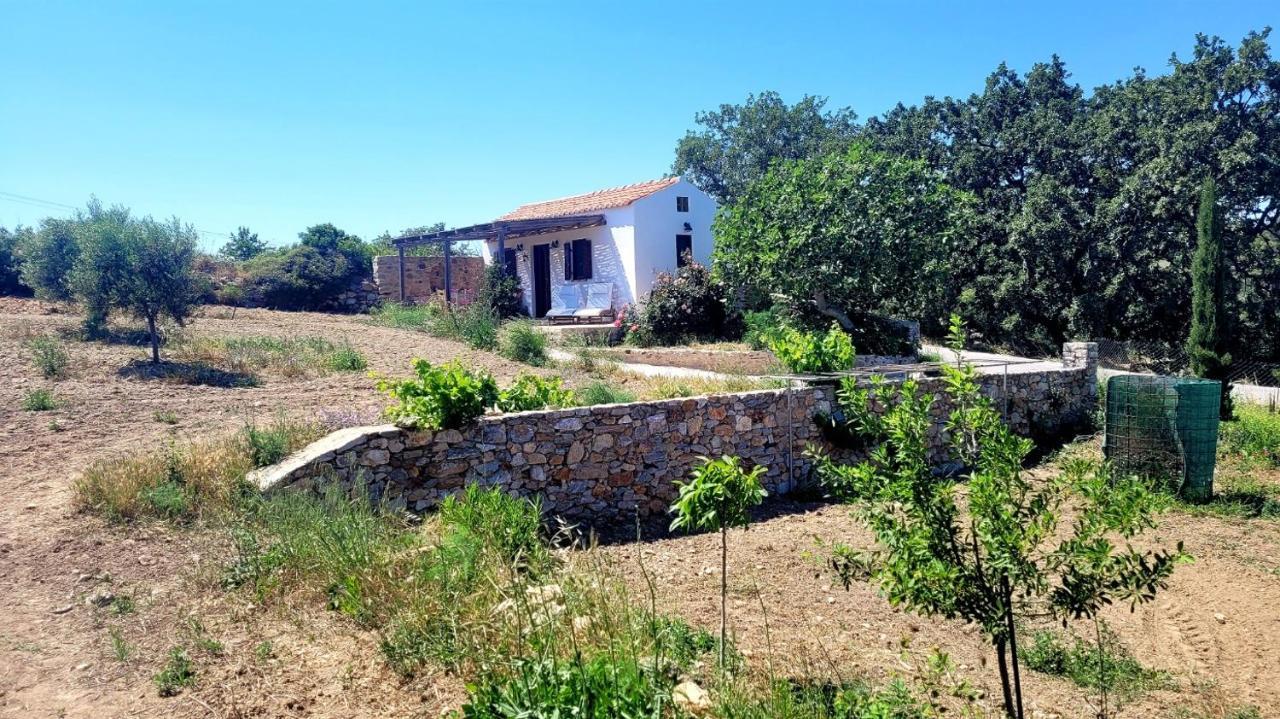 The Pigeon House Villa Potamos  Exterior photo